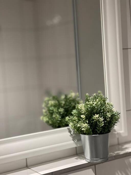Schickes Apartment Mit Balkon In デュッセルドルフ エクステリア 写真